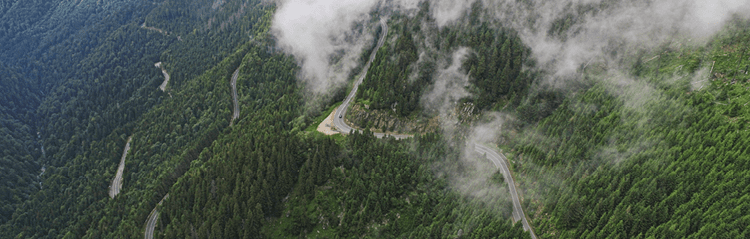 9. Electric car education and&nbsp;awareness projects